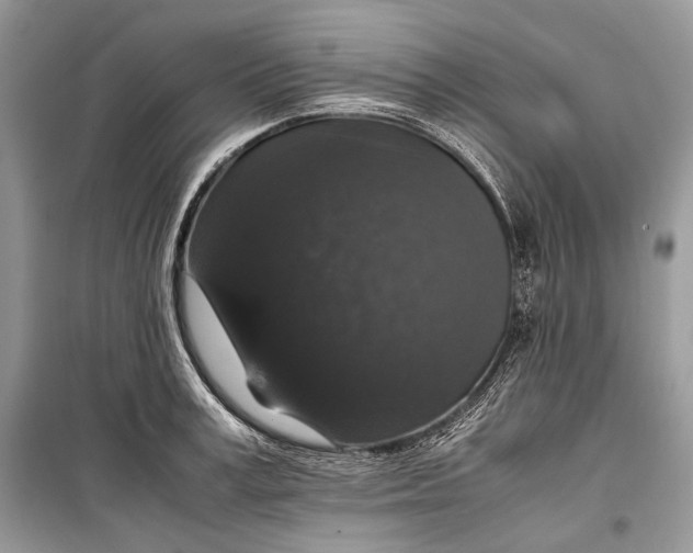 X0000099290995200805161321