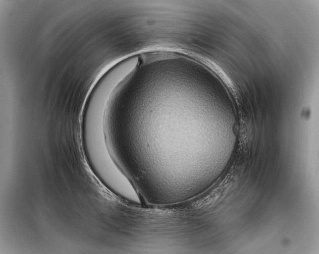 X0000099290996200805161321