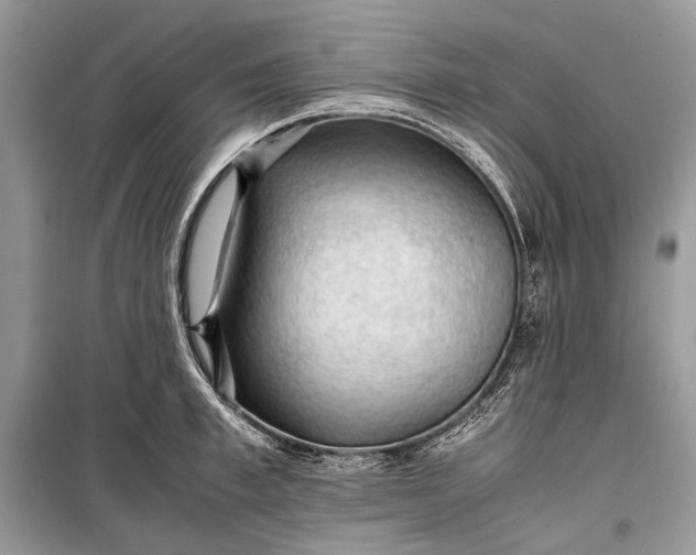 X0000099290997200805161321