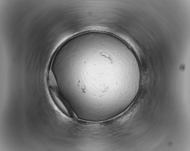 X0000099290999200805161321