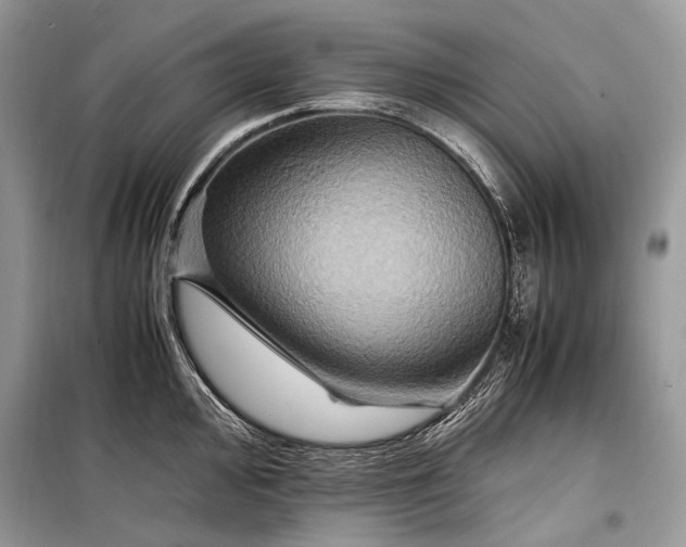 X0000099291000200805161321