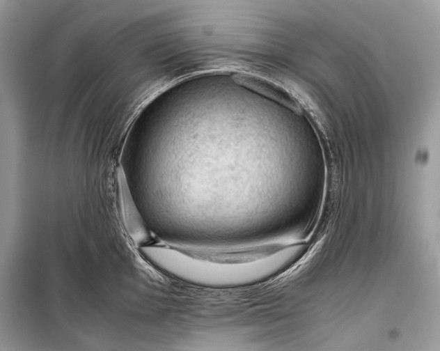 X0000099291001200805161321