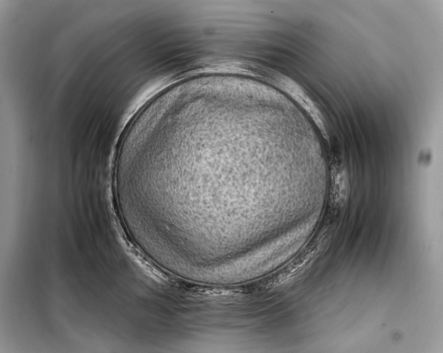 X0000099291002200805161321