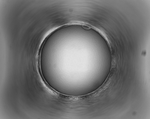 X0000099291003200805161321