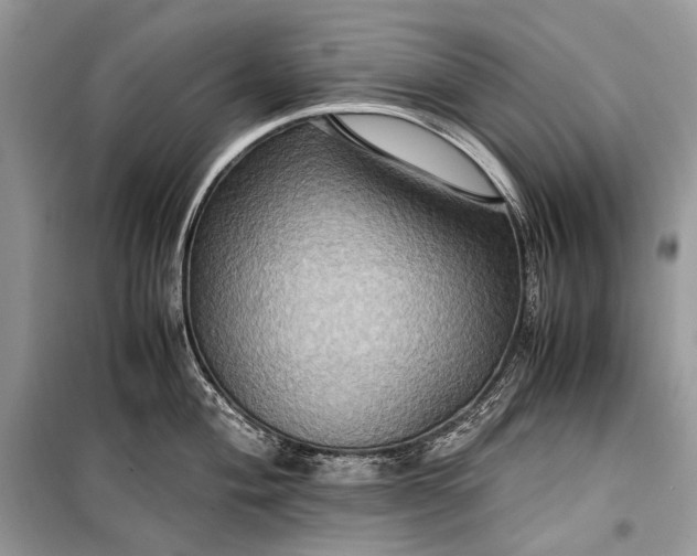 X0000099291004200805161321