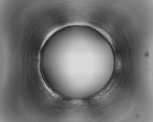 X0000099291006200805161321