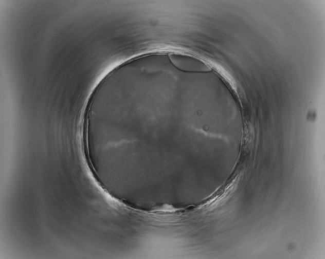 X0000099291007200805161321