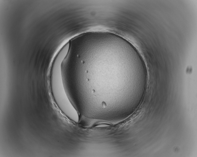 X0000099291008200805161321