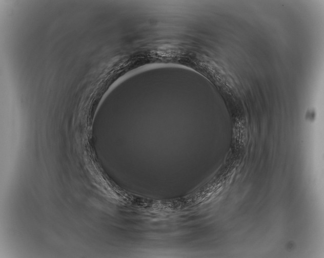 X0000099291009200805161320