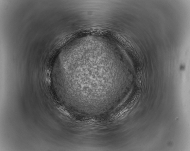 X0000099291010200805161320