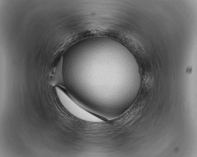 X0000099291012200805161320