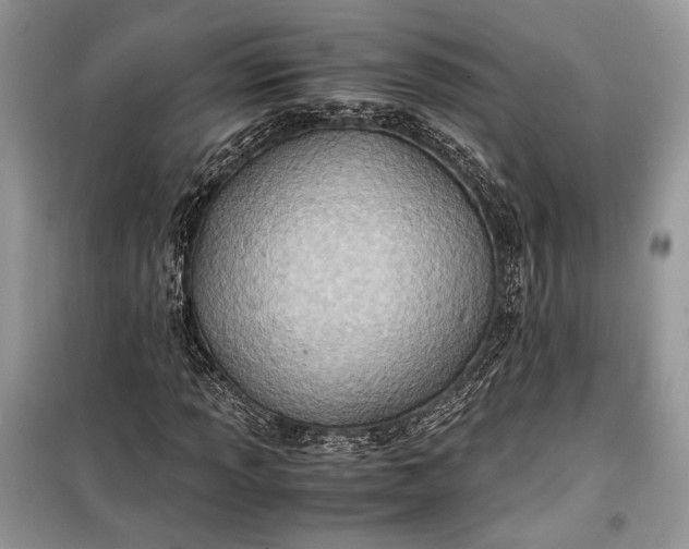 X0000099291013200805161320