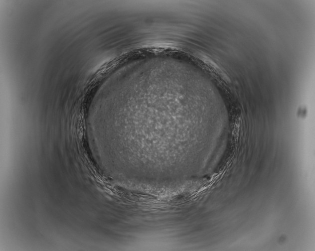 X0000099291014200805161320