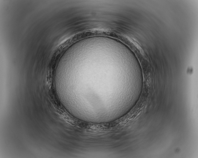 X0000099291015200805161320