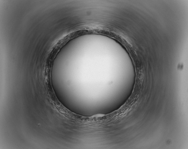 X0000099291016200805161320