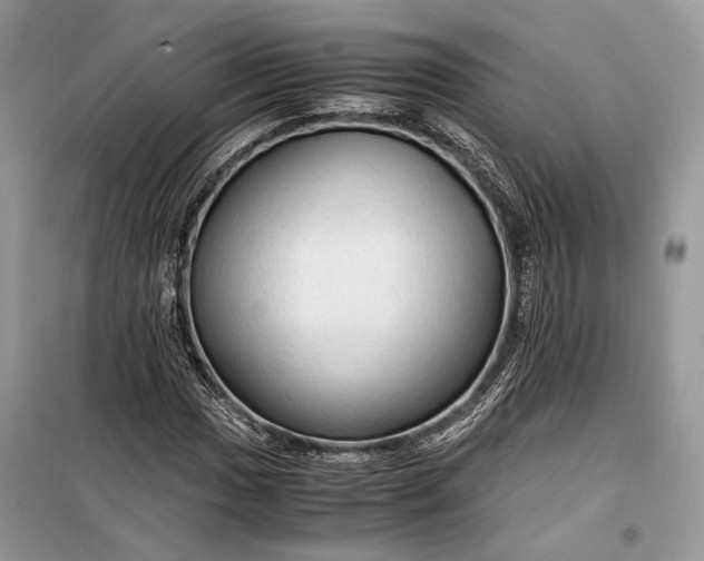 X0000099291017200805161320