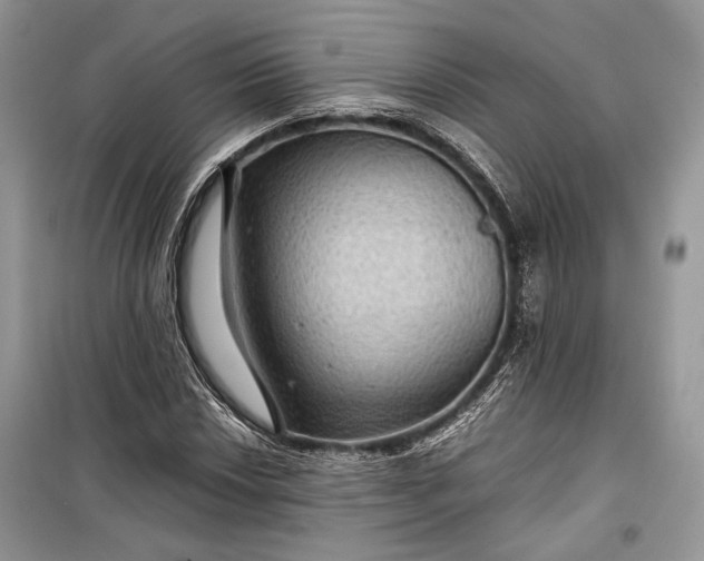 X0000099291018200805161320