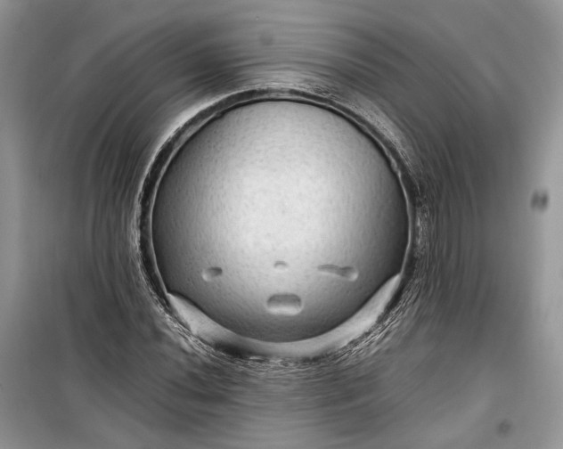 X0000099291020200805161320