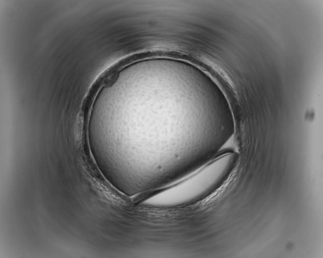 X0000099291021200805161320