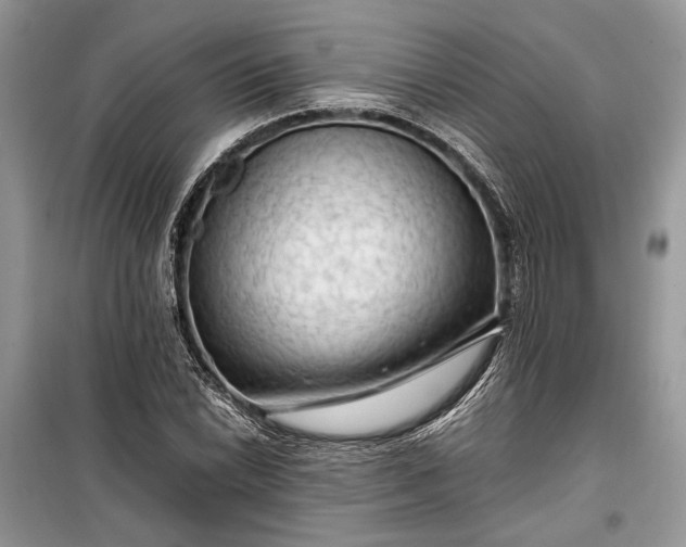 X0000099291022200805161320