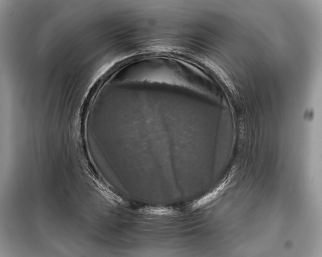 X0000099291023200805161320