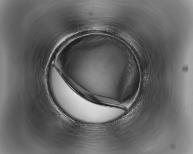 X0000099291024200805161320