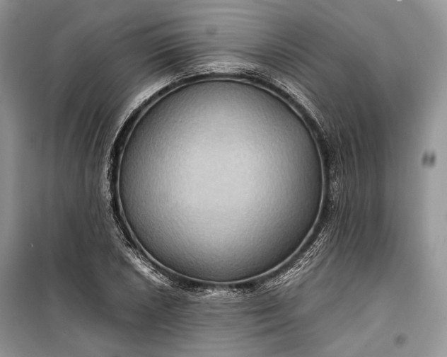 X0000099291026200805161320