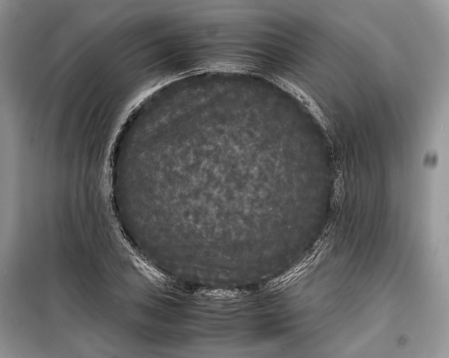 X0000099291027200805161320