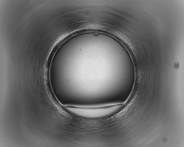 X0000099291029200805161320