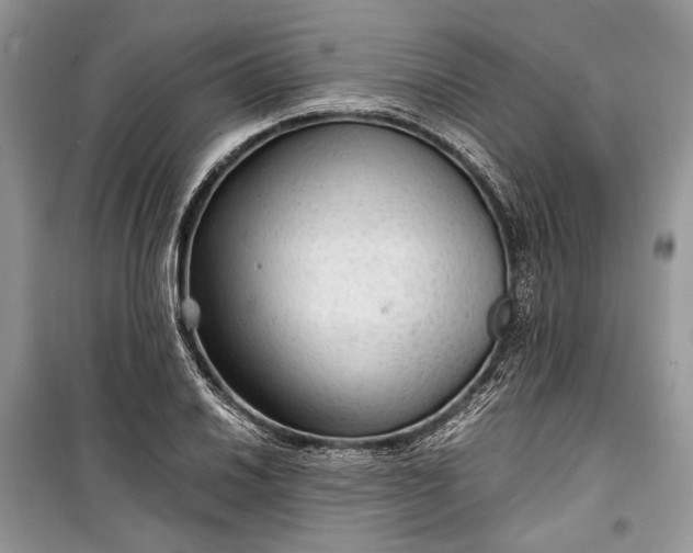 X0000099291030200805161320