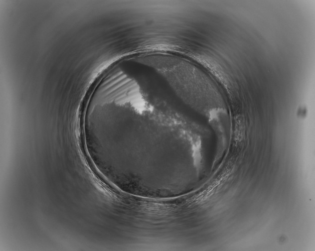 X0000099291031200805161320