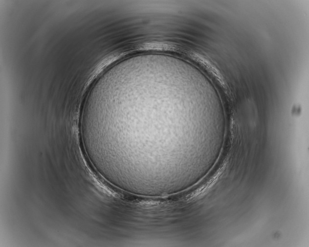 X0000099291033200805161320