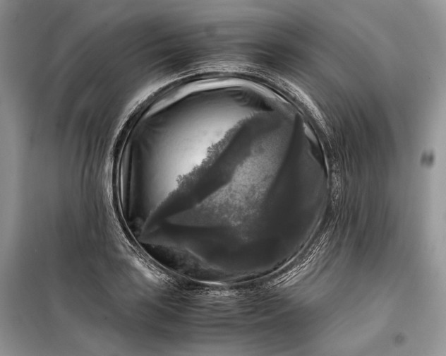 X0000099291035200805161320