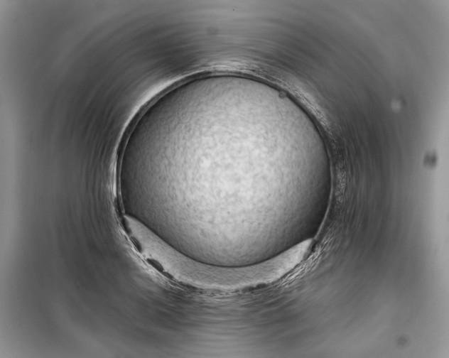 X0000099291036200805161320