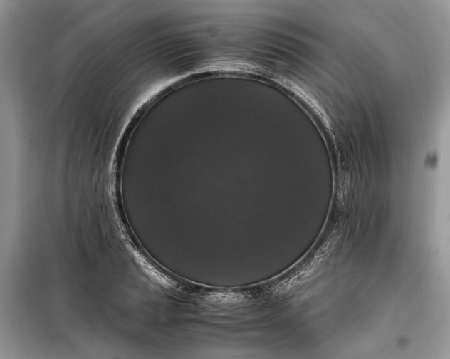 X0000099291037200805161320