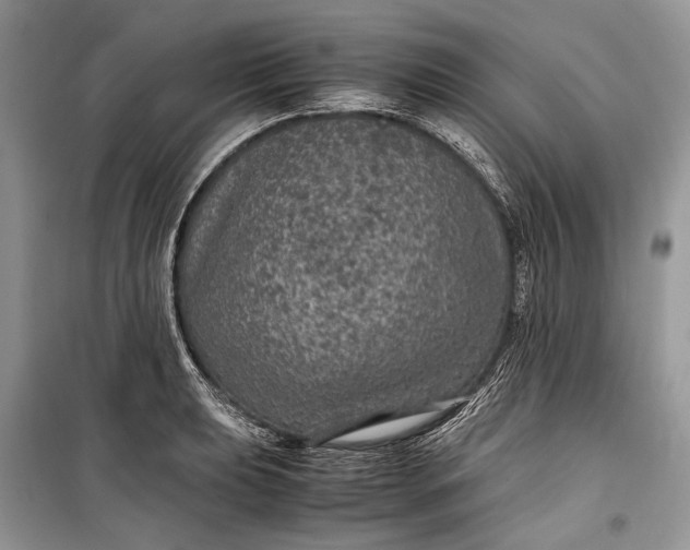 X0000099291039200805161320