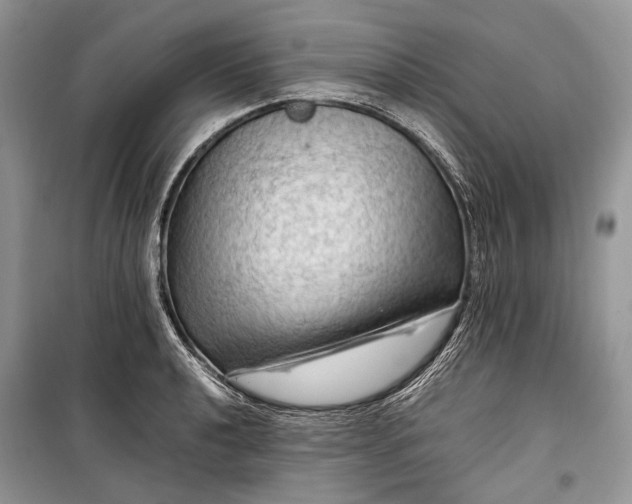 X0000099291040200805161320