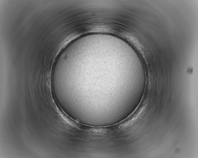 X0000099291041200805161320