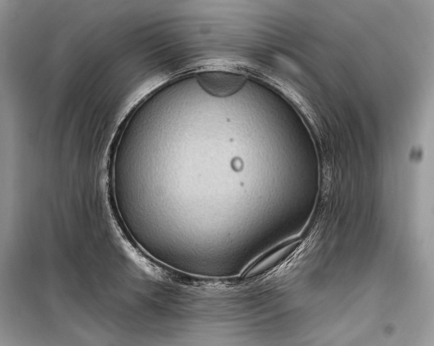 X0000099291042200805161320