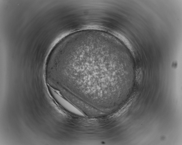 X0000099291043200805161320