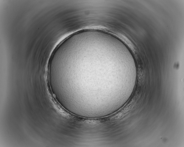 X0000099291044200805161320