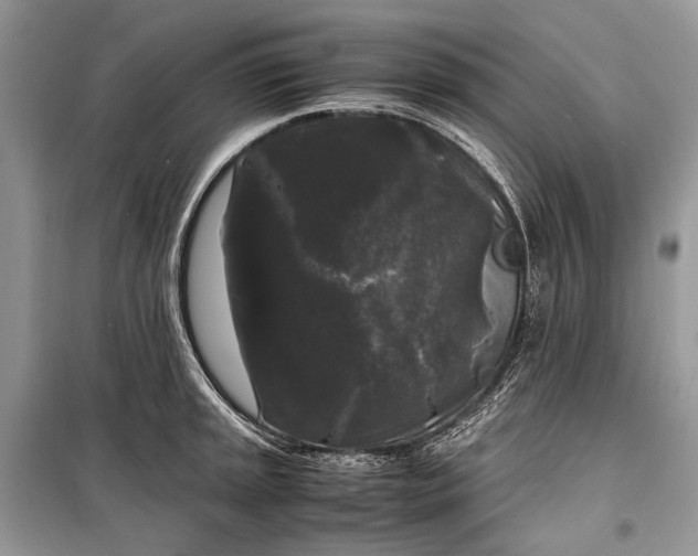 X0000099291045200805161320