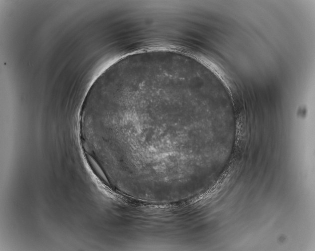 X0000099291047200805161320