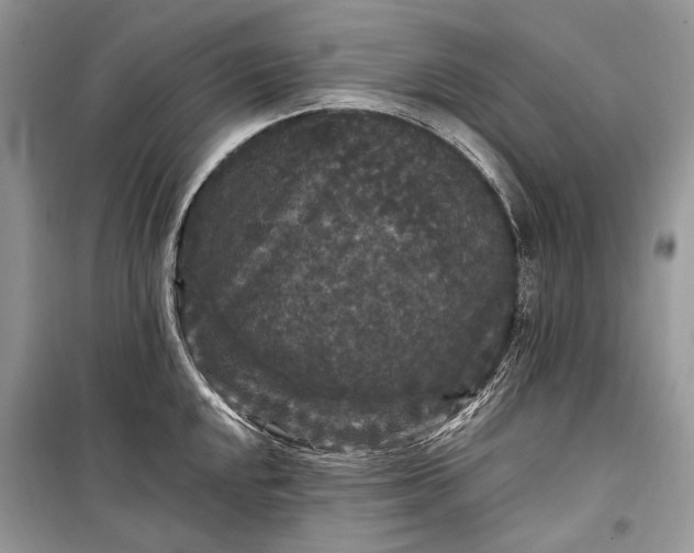 X0000099291048200805161320