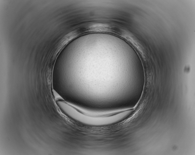 X0000099291049200805161320