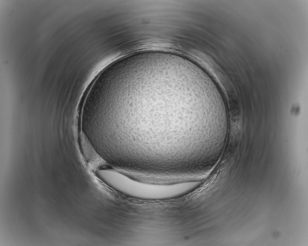 X0000099291050200805161320