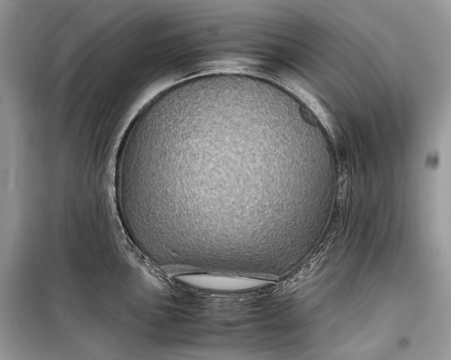 X0000099291051200805161320