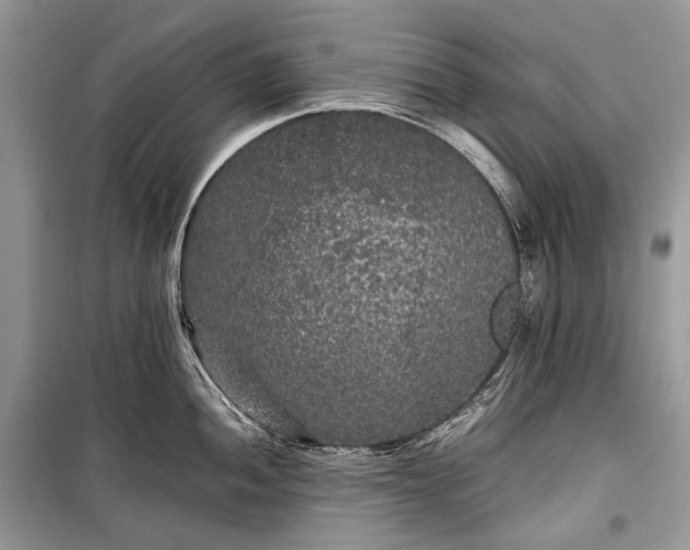 X0000099291052200805161320