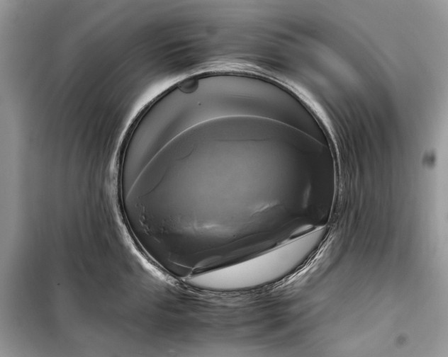 X0000099291053200805161320