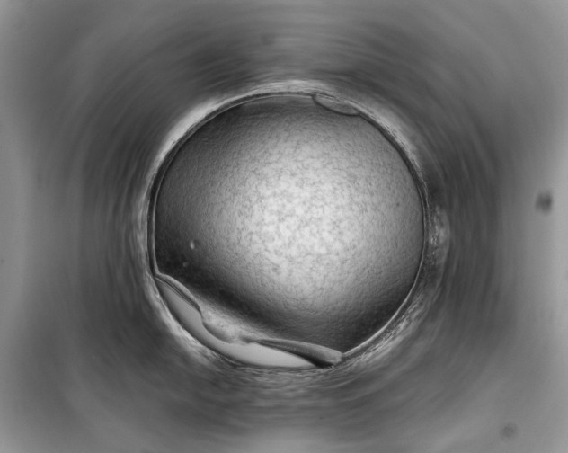 X0000099291054200805161320